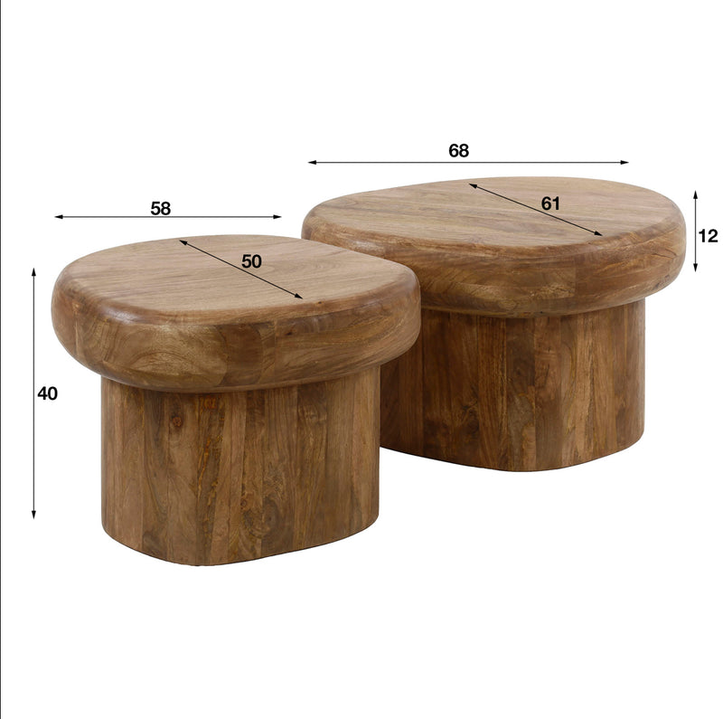 Coffee table set of 2